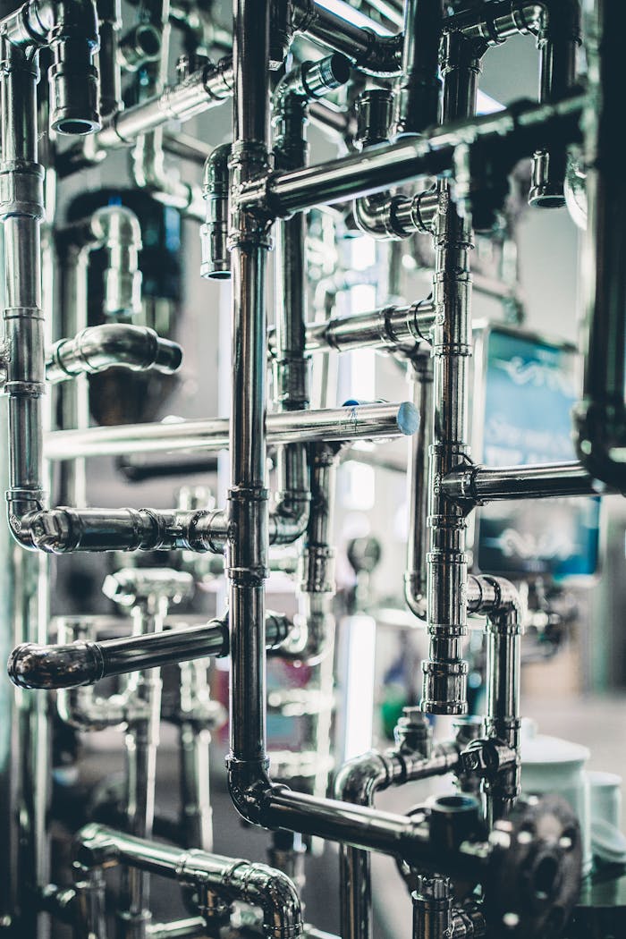 pexels photo 2310904.jpeg